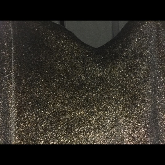 Angie V neck Velvet Slip Tank - Picture 4 of 5